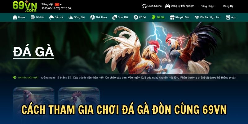 cach-tham-gia-choi-da-ga-don-69vn