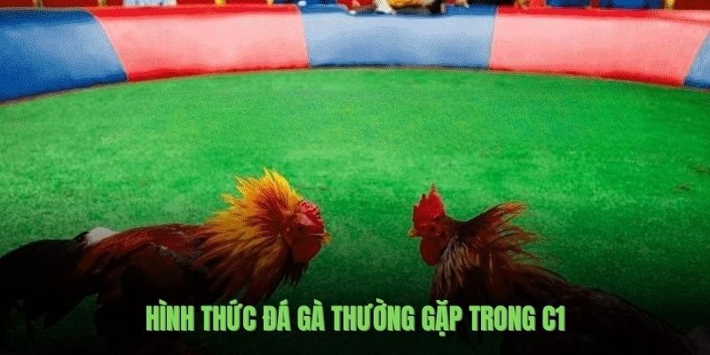 hinh-thuc-da-ga-thuong-gap-trong-c1