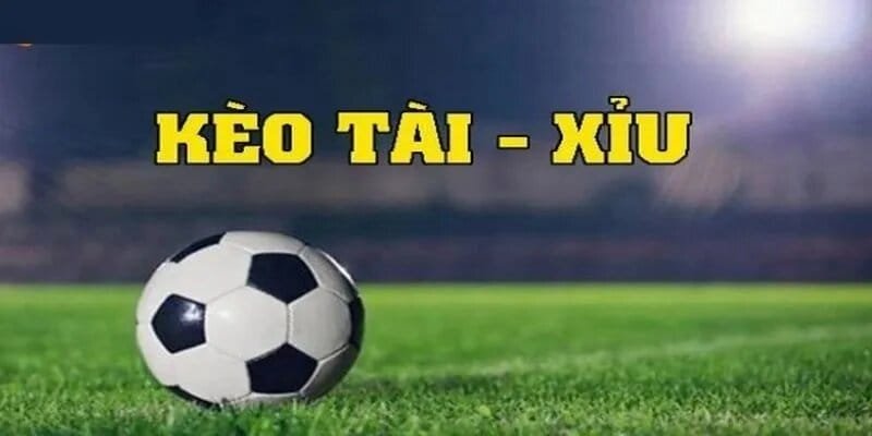 keo-tai-xiu-qua-muc-tong-ty-so