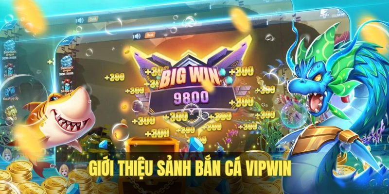 ban-ca-vipwin-gioi-thieu