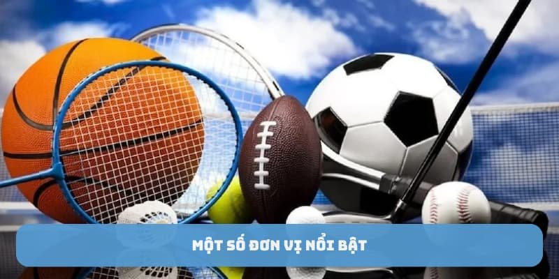 mot-so-don-vi-noi-bat-tai-the-thao-c54