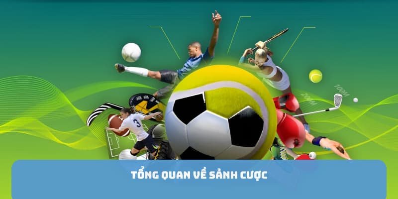 tong-quan-ve-sanh-cuoc-the-thao-c54