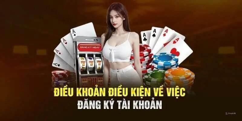 Những điều kiện điều khoản khi đăng ký