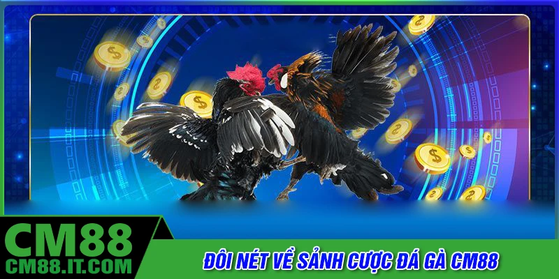 Đôi nét về sảnh đá gà CM88 nổi tiếng